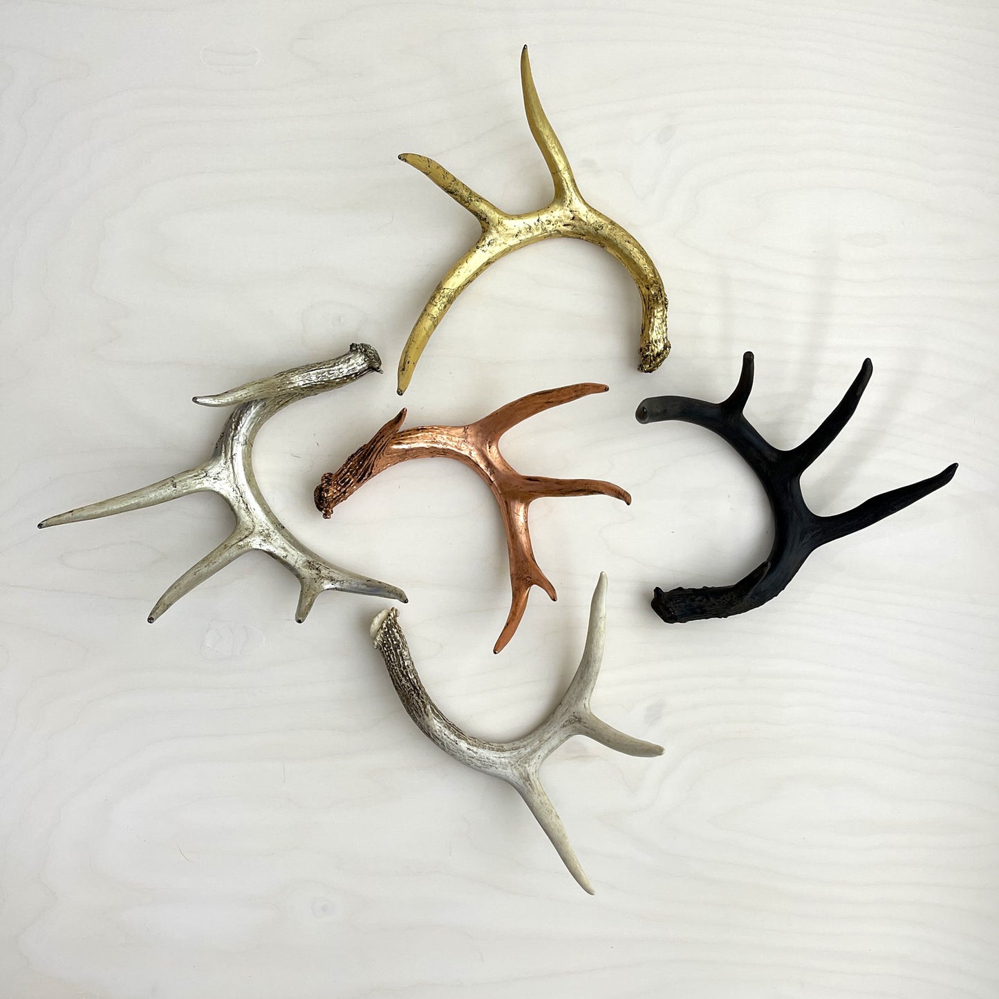 Antler Accents - Gilded