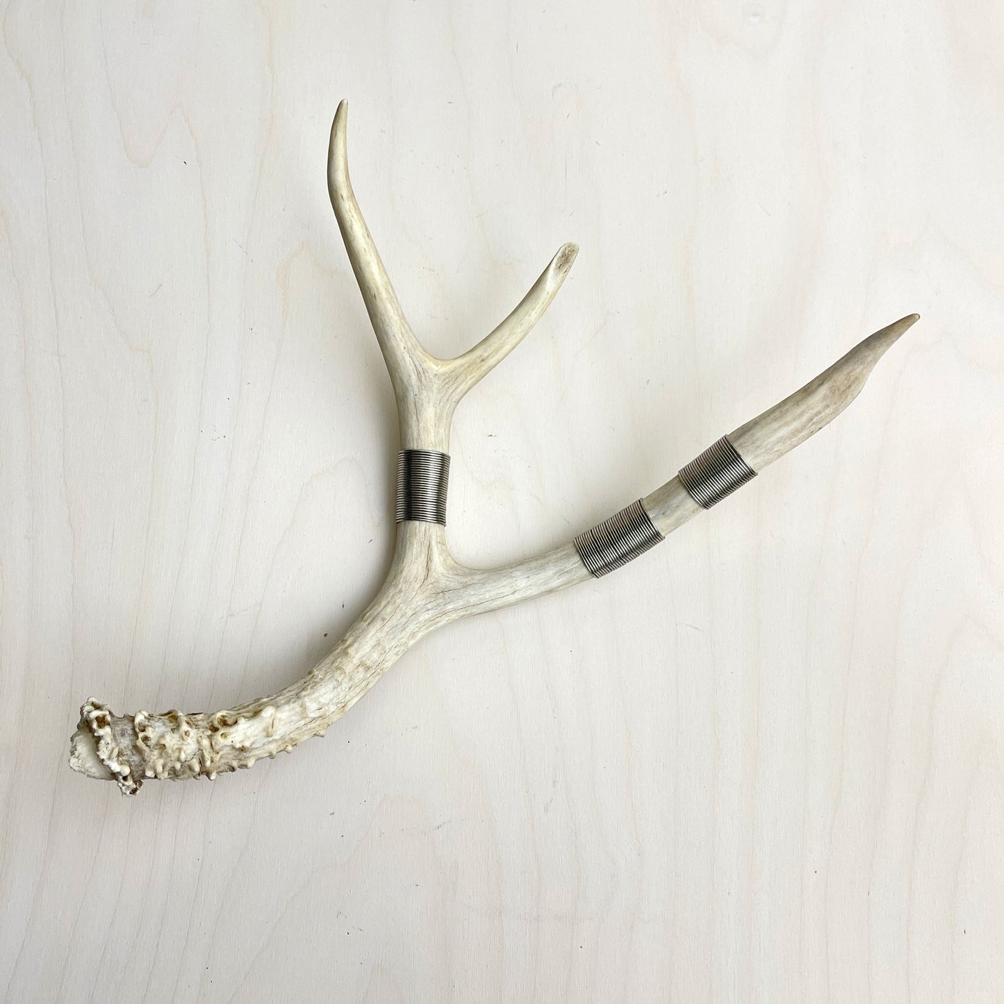 Antler Accent - Wire Wrapped