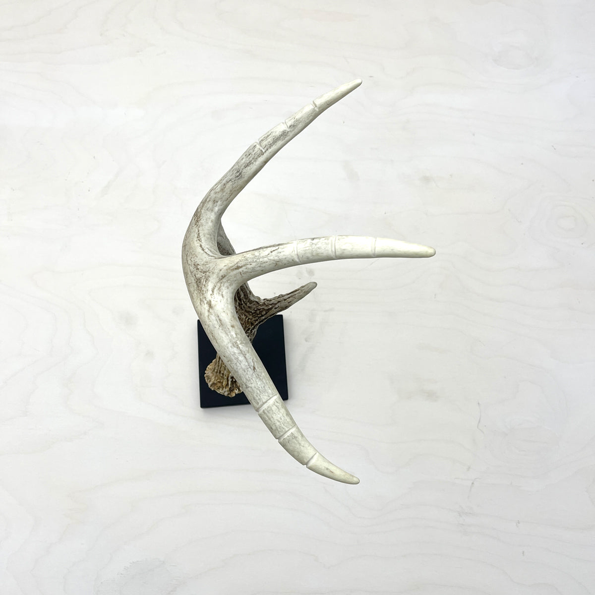 Antler Jewelry Stand