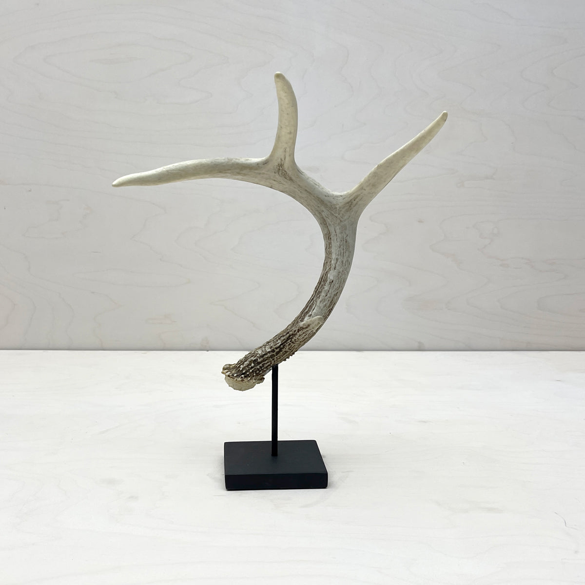 Antler Jewerly Stand hotsell