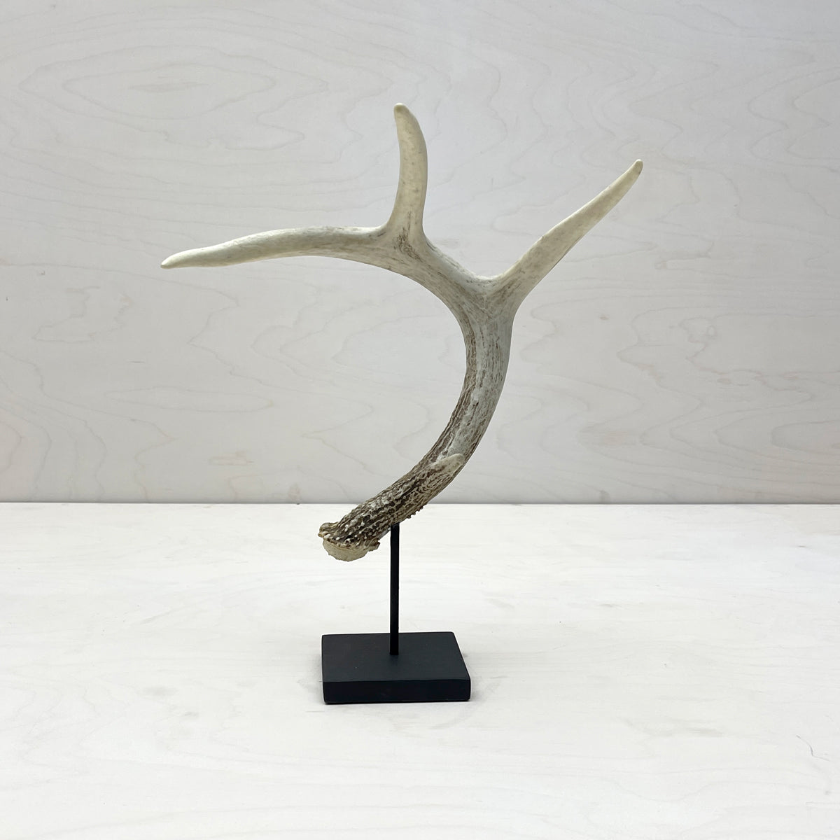 Antler Jewelry Stand