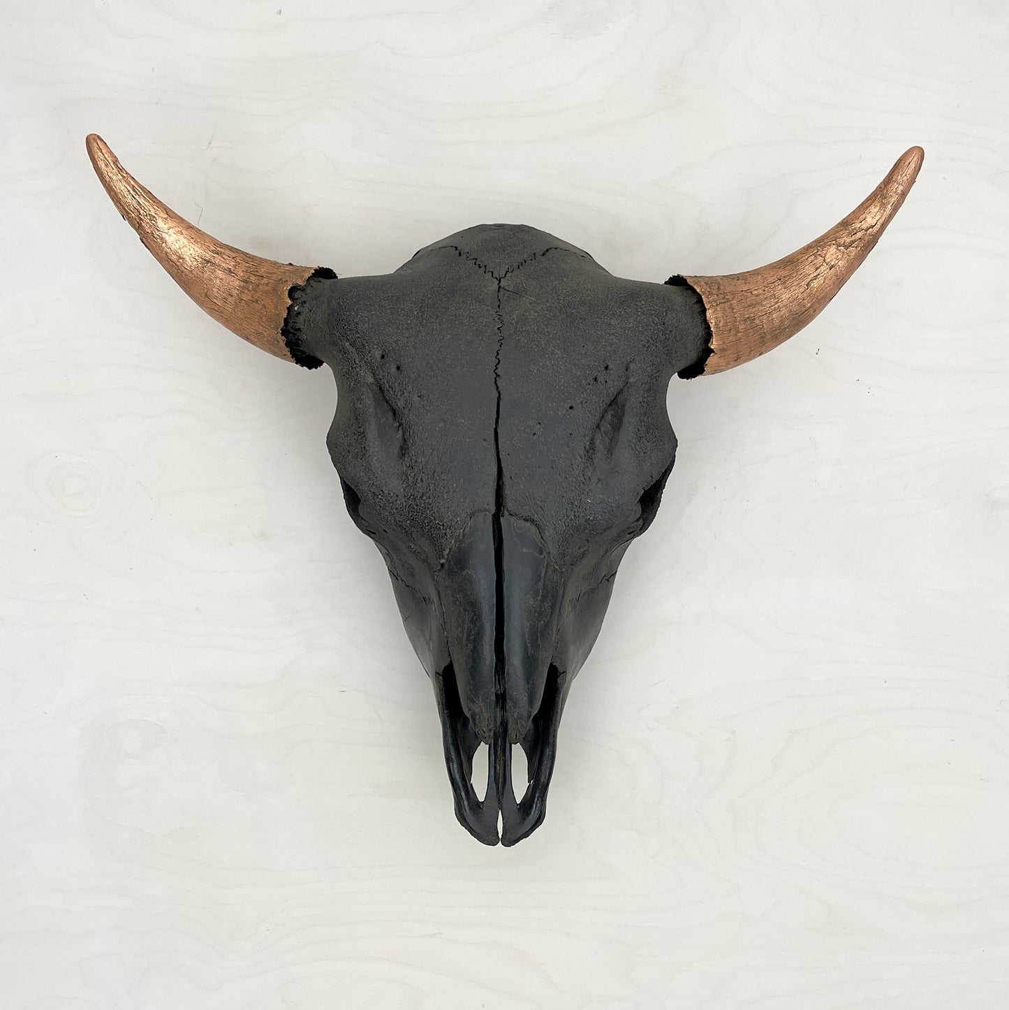 Bison Skull - Black