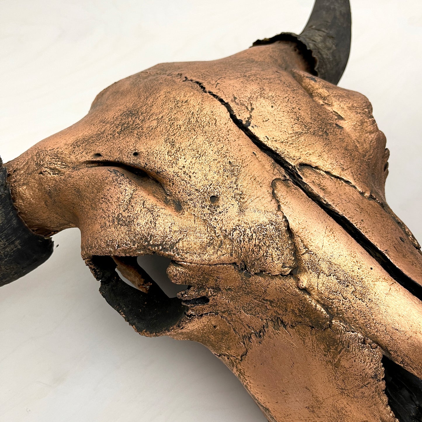 Bison Skull - Gilded Head