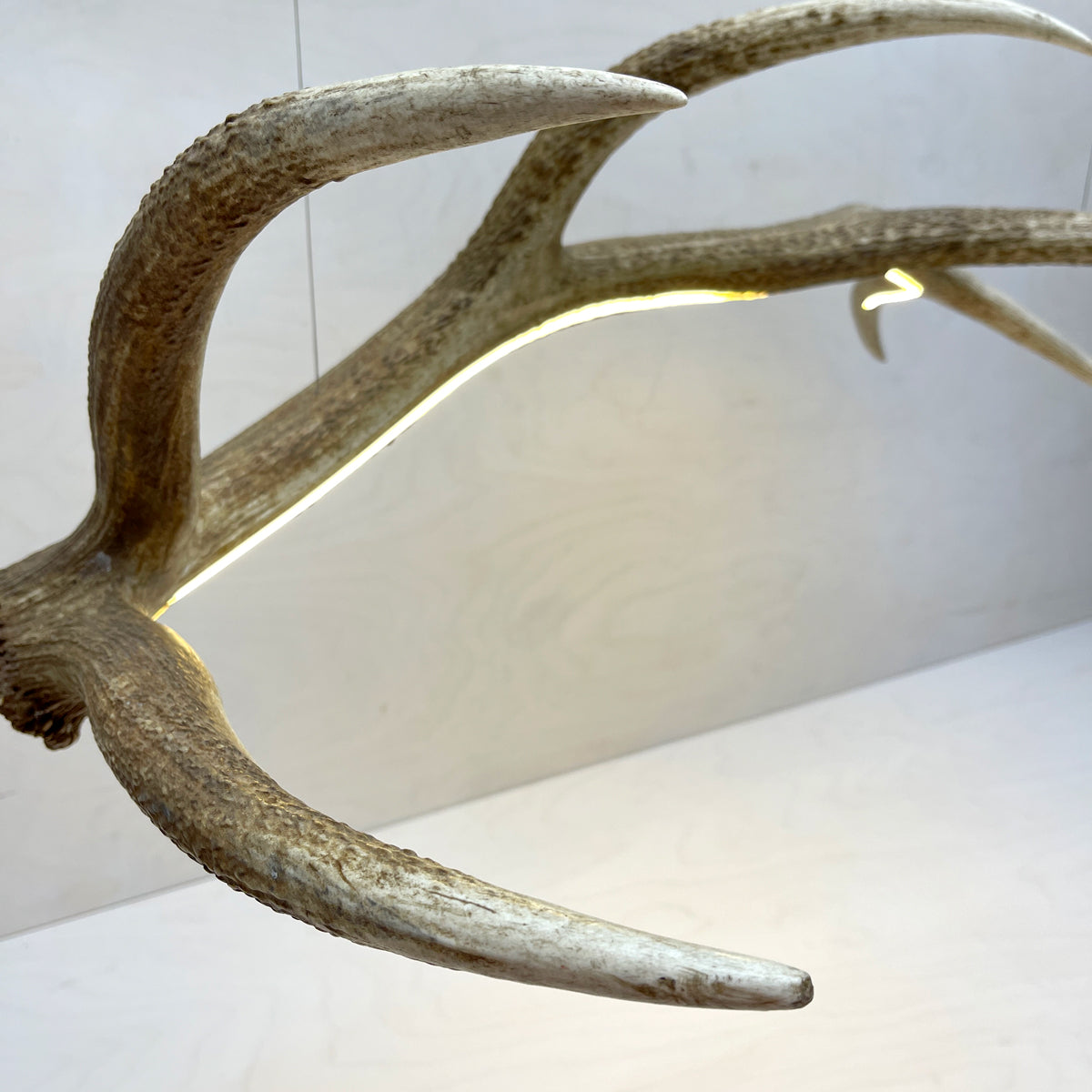 Elk Antler Linear Suspension - Natural