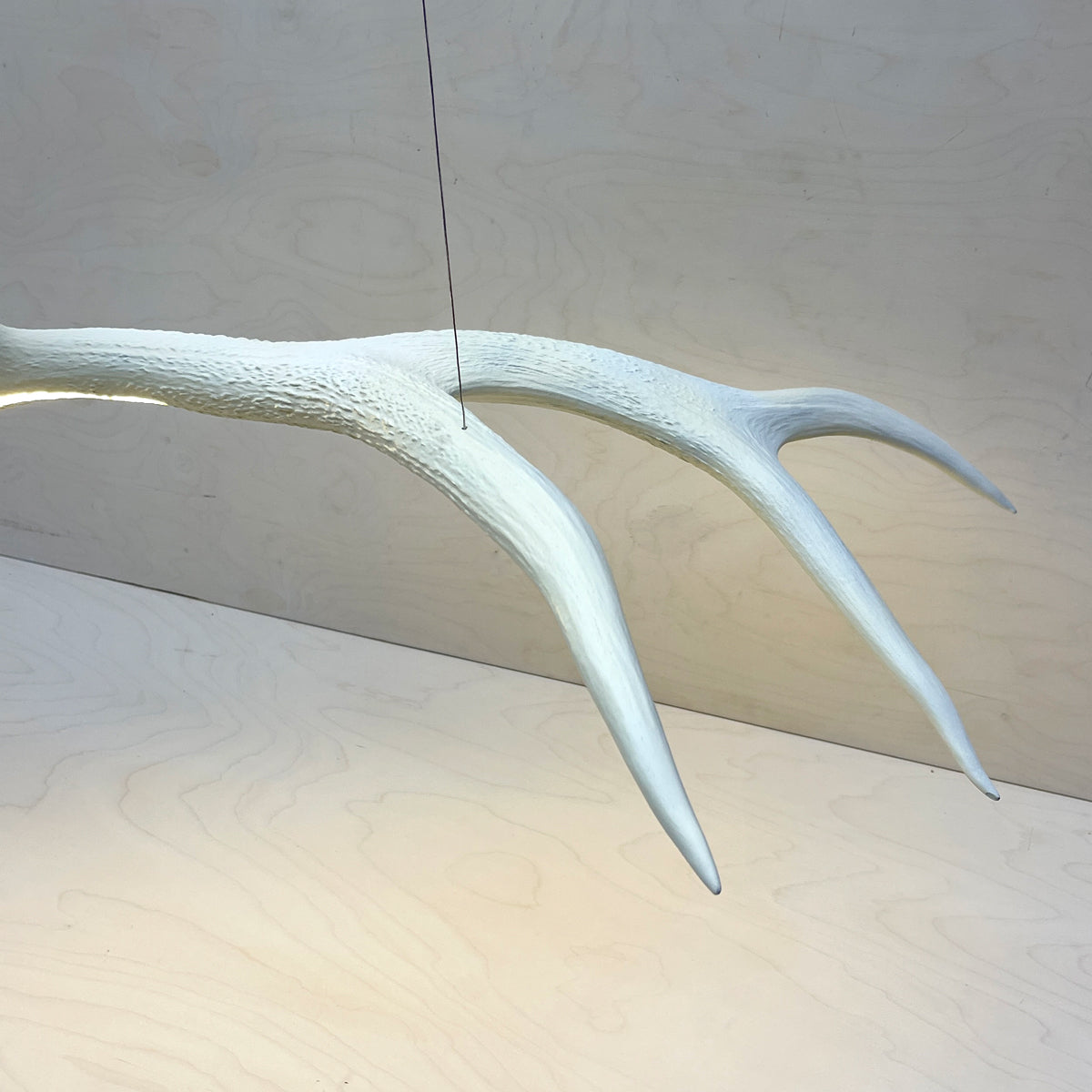 Elk Antler Linear Suspension - White