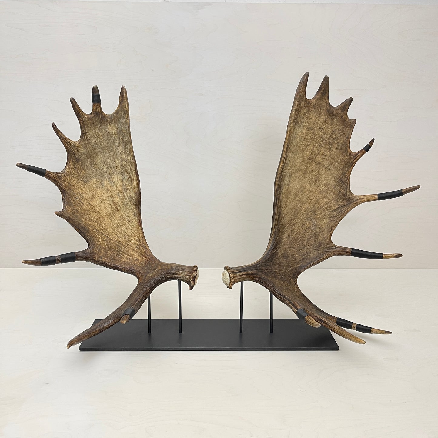 Moose Paddle Sculpture