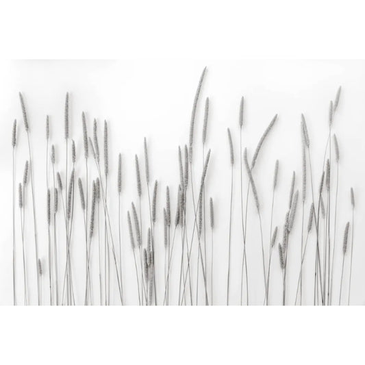 L. Blackwood - Gathering of Grasses