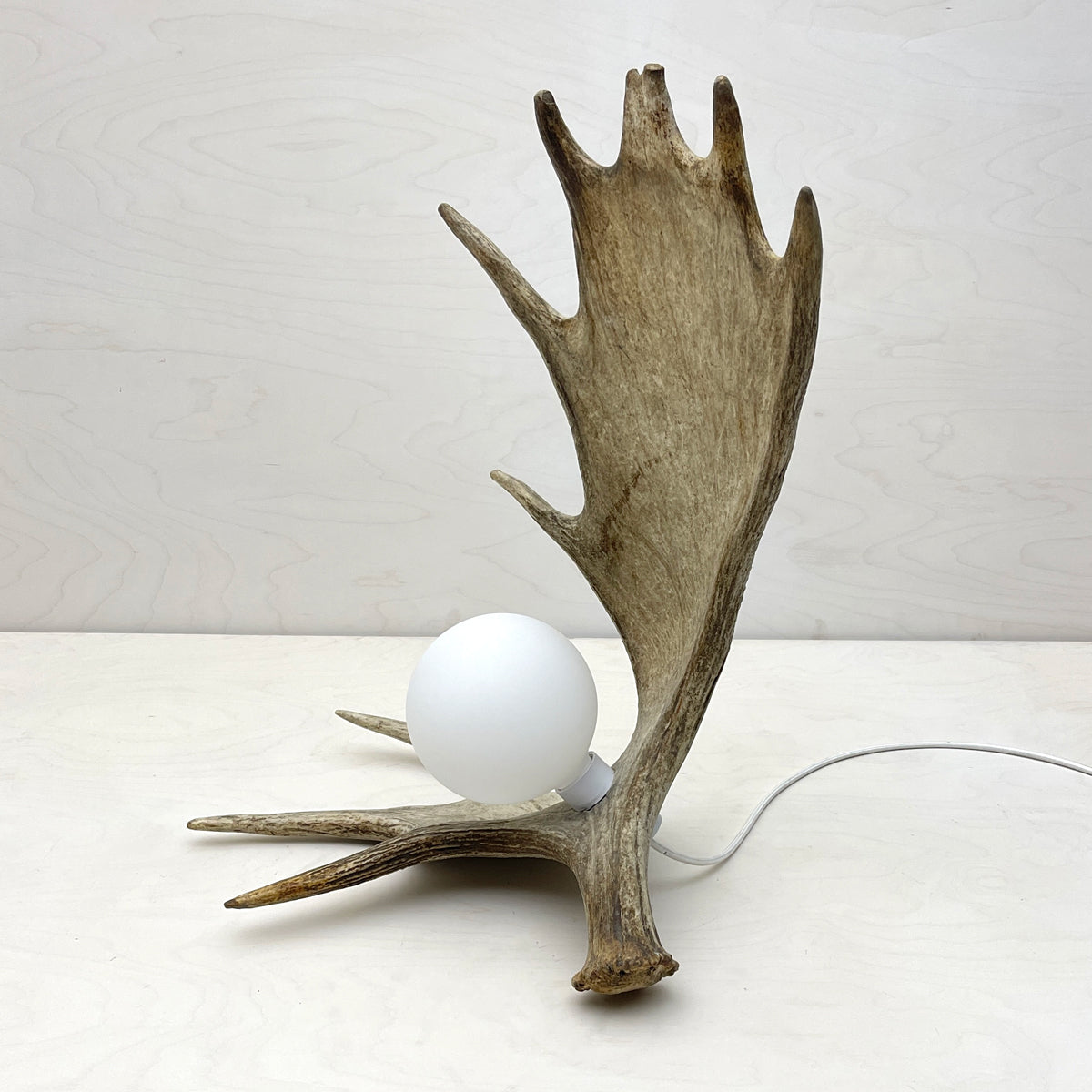 Moose Antler Lamp - Natural – Farmhaus + Co