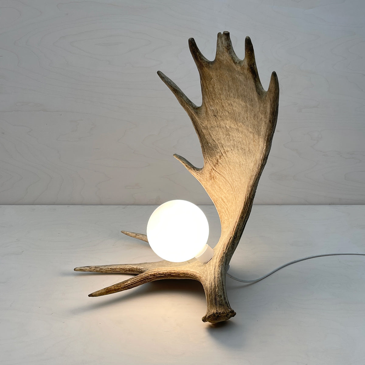 Moose Antler Lamp - Natural – Farmhaus + Co