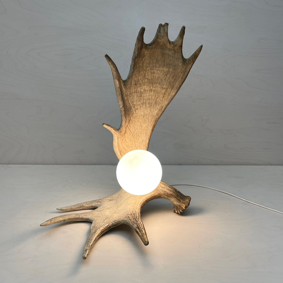 Moose Antler Lamp - Natural