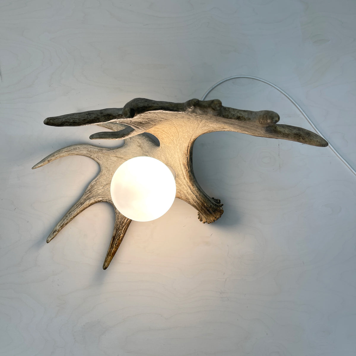 Moose Antler Lamp - Natural