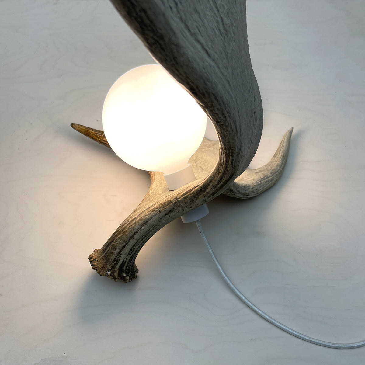 Moose Antler Lamp - Natural