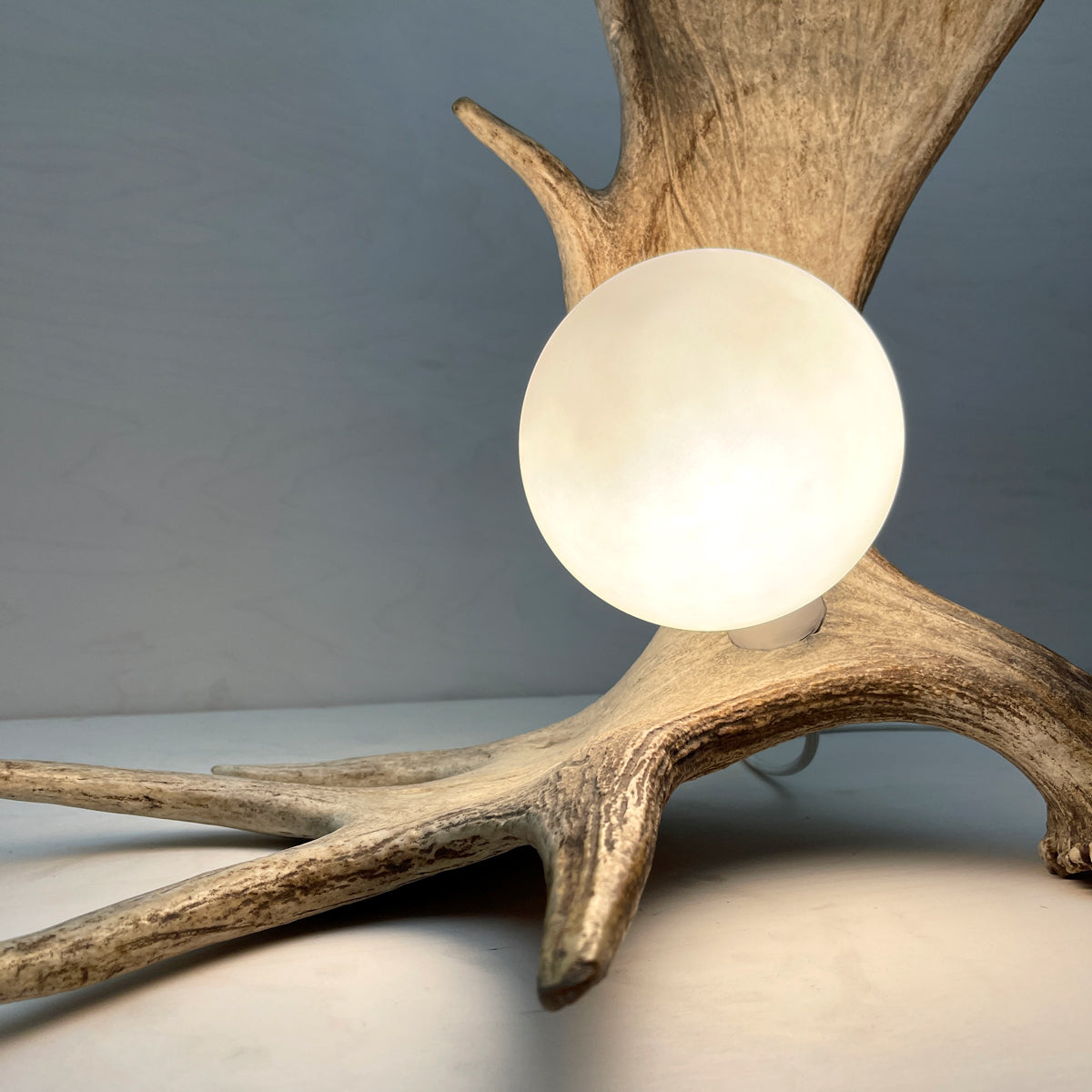 Moose Antler Lamp - Natural